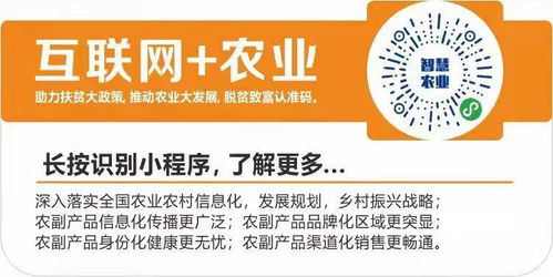 數字翅膀助農飛，互聯網+農業打通鄉村振興新銷路